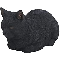 Vivid Arts XRL-DC31-B Gato soñador- Negro- Talla B